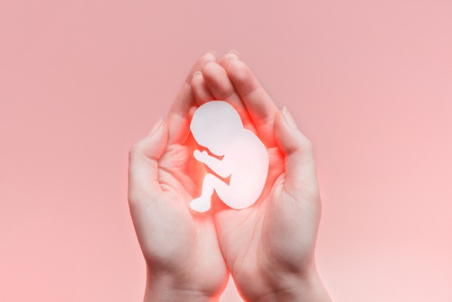 Perkembangan janin di trimester kedua - ibudanbalita