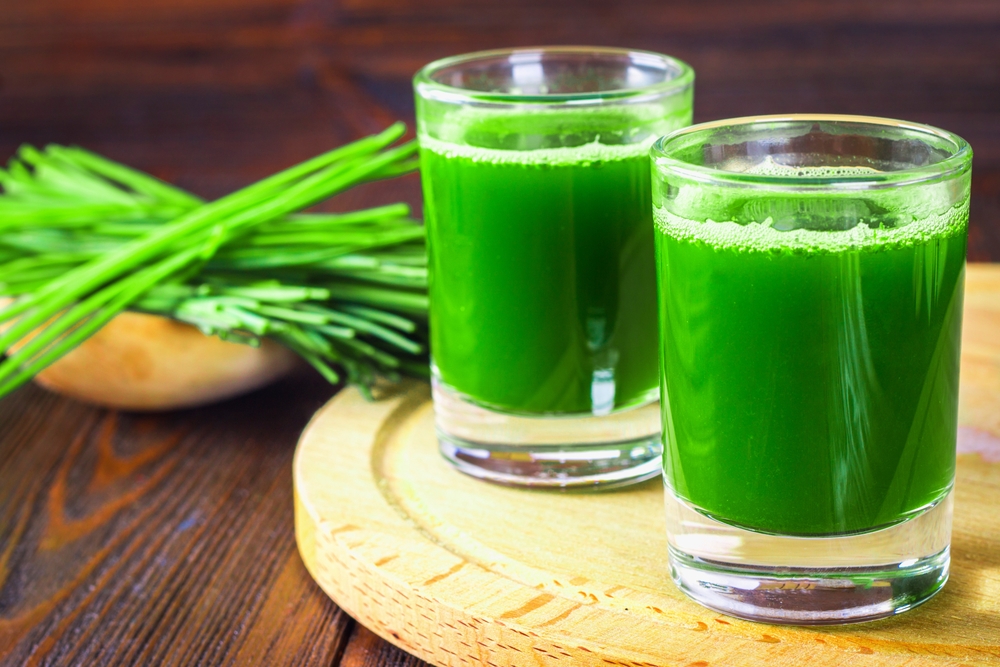 Jus wheatgrass tidak boleh dikonsumsi oleh ibu hamil