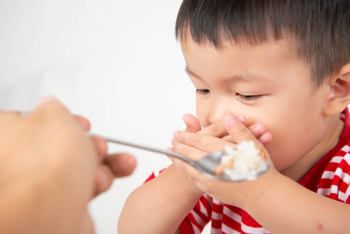 cara mengatasi anak yang susah makan nasi - Ibudanbalita