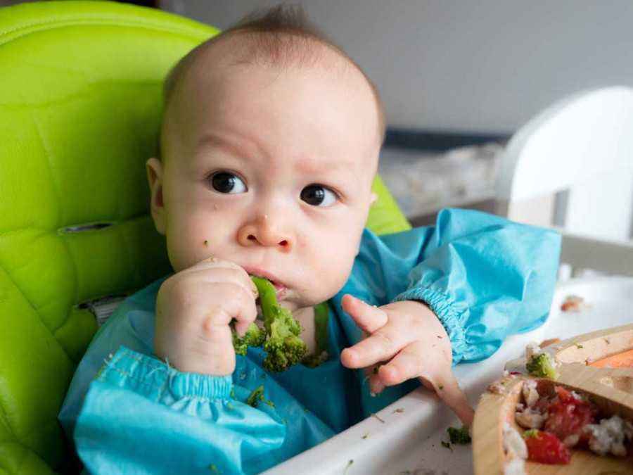 Menerapkan Baby Led Weaning Untuk Mpasi Baik Atau Tidak